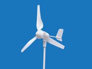 China Windkraftanlage-Wind-Generator der Blatt-400W 3 mit MPPT weg von Gitter-Prüfer-Smart-Leistung Firma